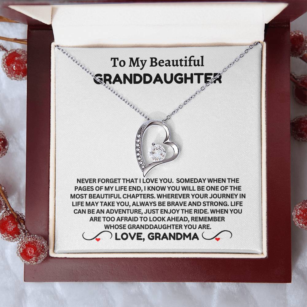 To My Beautiful Granddaughter - Forever Necklace