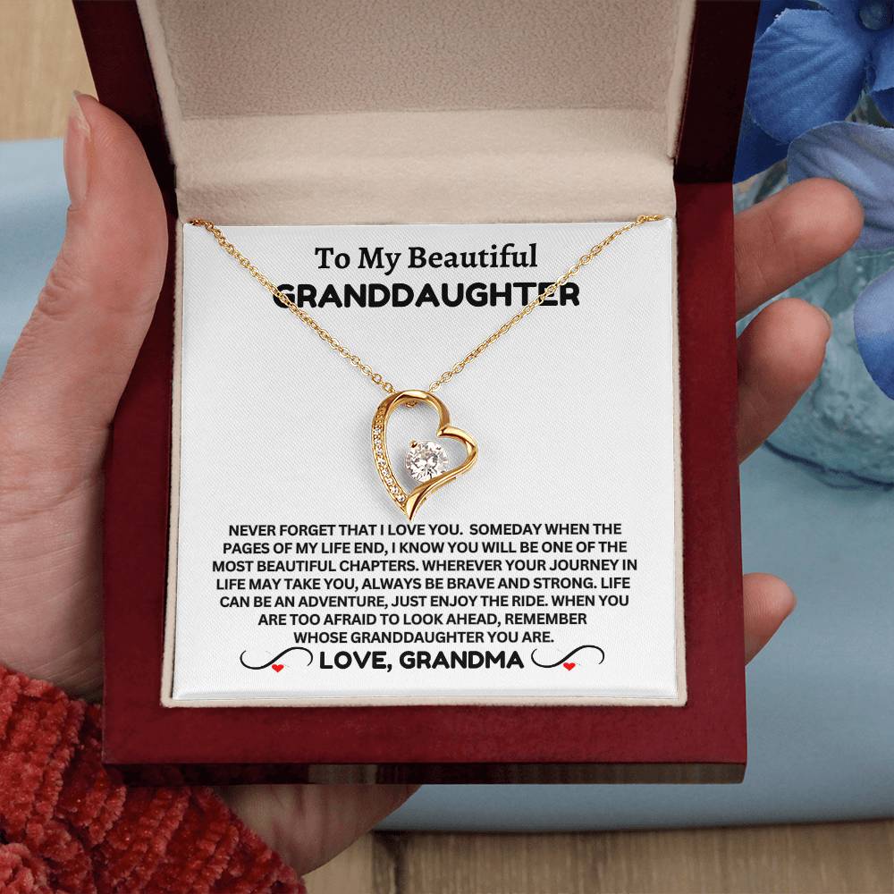 To My Beautiful Granddaughter - Forever Necklace