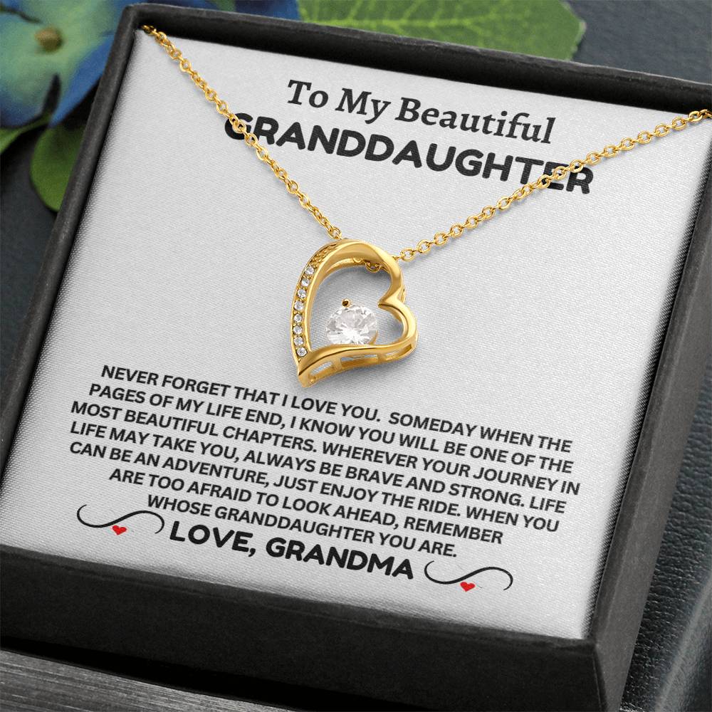 To My Beautiful Granddaughter - Forever Necklace